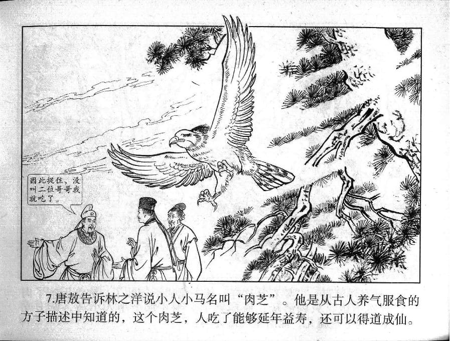 《《镜花缘》5 红蕖杀猛虎 丁定芳 2015版》连环画第9页