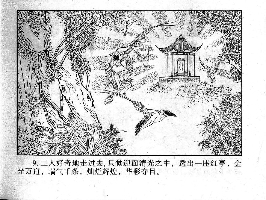 《《镜花缘》20 书页传佳话 丁定芳 2015版》连环画第11页