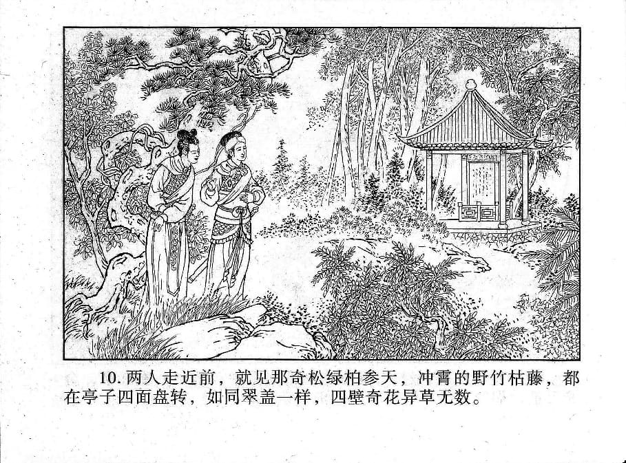 《《镜花缘》20 书页传佳话 丁定芳 2015版》连环画第12页