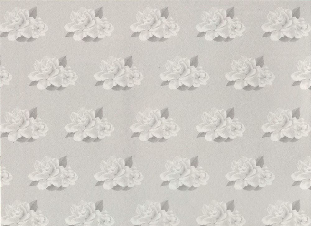 《《史上名妓 ▪ 两代皇妃》花蕊夫人 中国文苑出版社》连环画第2页